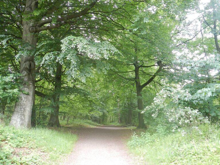 Rondwandeling – met gids — natuur in Spakenburg